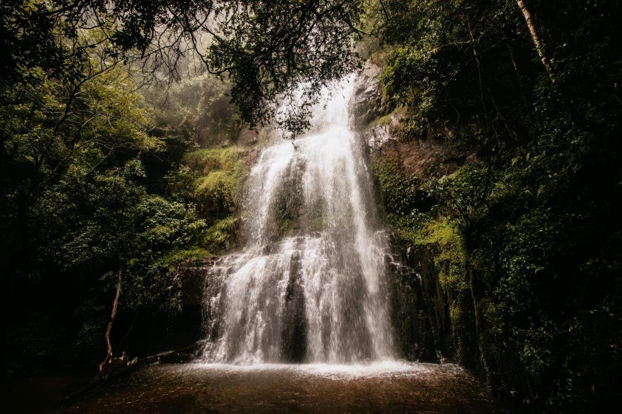 Mount Sheba Rainforest Hotel & Resort Pilgrimʼs Rest 외부 사진
