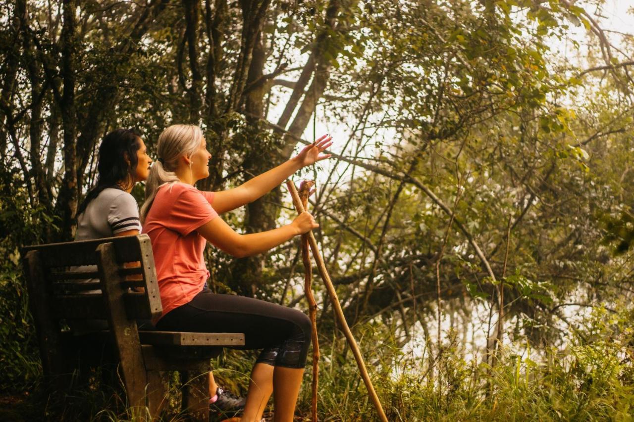 Mount Sheba Rainforest Hotel & Resort Pilgrimʼs Rest 외부 사진