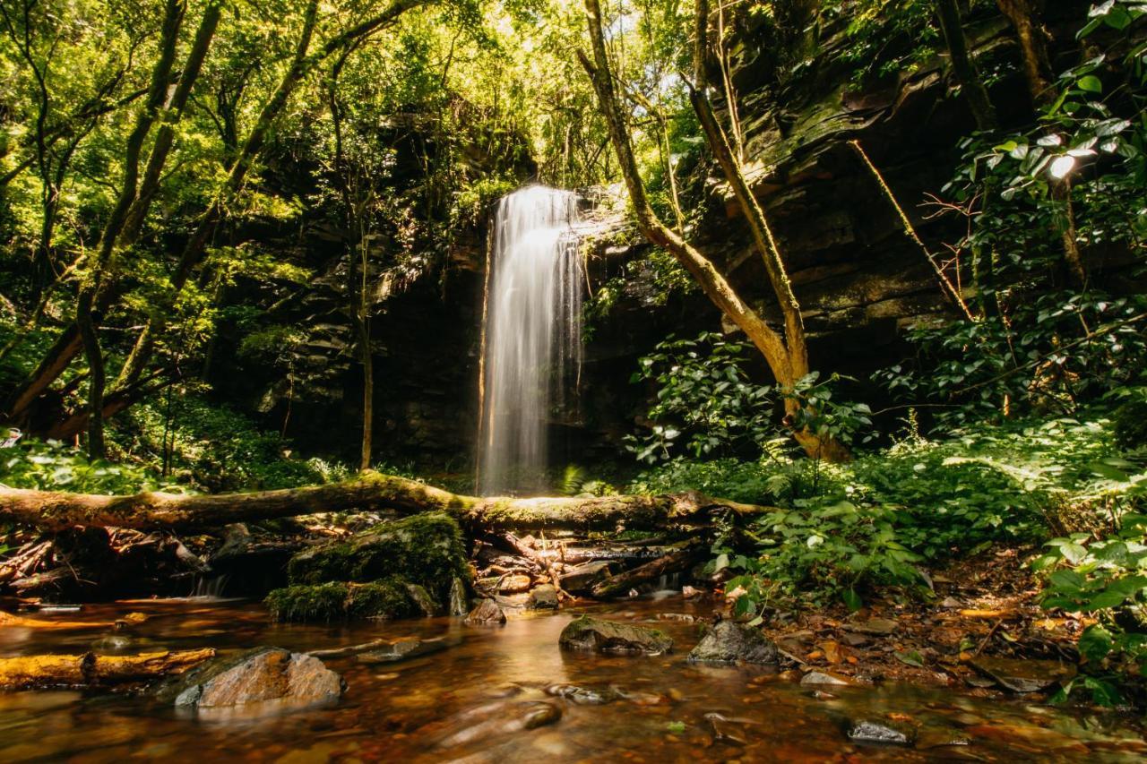 Mount Sheba Rainforest Hotel & Resort Pilgrimʼs Rest 외부 사진